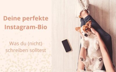Deine perfekte Instagram-Bio
